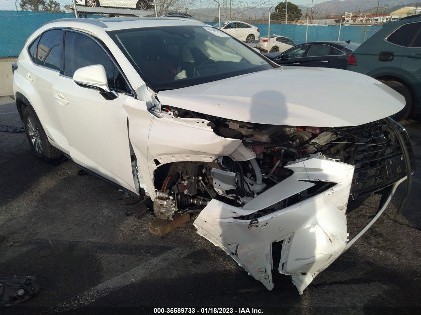 2021 LEXUS NX NX 300H VIN: JTJDJRDZXM5014103