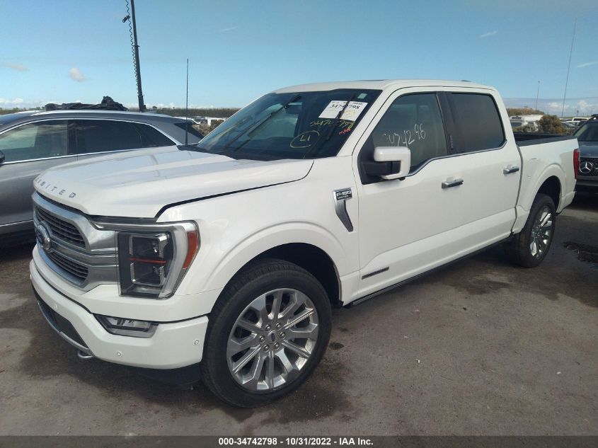 2021 FORD F-150 XL/XLT/LARIAT VIN: 1FTFW1ED8MFB52704