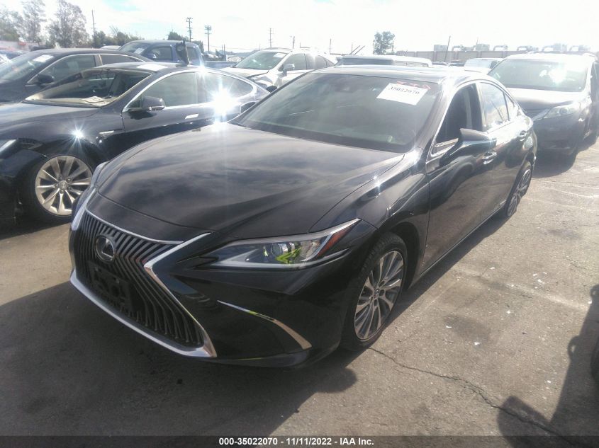 2021 LEXUS ES ES 300H VIN: 58ADA1C14MU010333