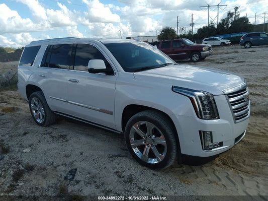 2020 CADILLAC ESCALADE PLATINUM VIN: 1GYS4DKJ7LR115229