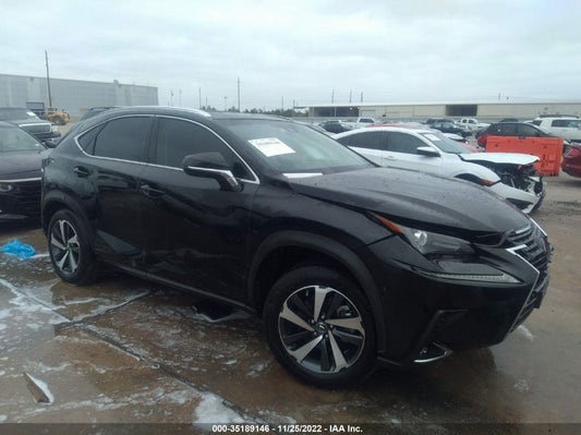 2020 LEXUS NX NX 300 VIN: JTJGARBZ7L5013456