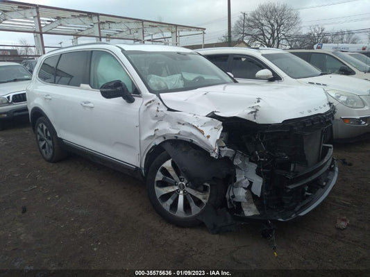 2021 KIA TELLURIDE S VIN: 5XYP6DHC7MG106870