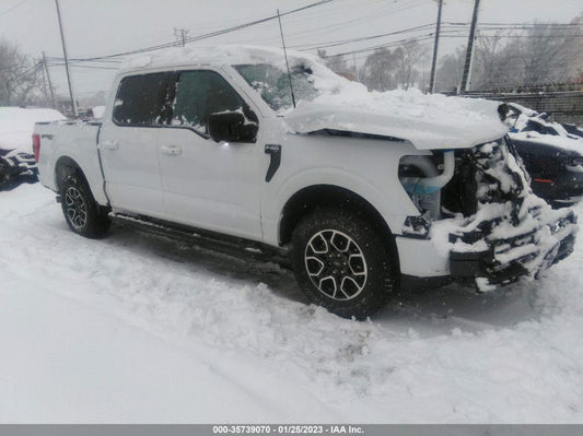 2021 FORD F-150 XL/XLT/LARIAT VIN: 1FTEW1EP1MKE53120