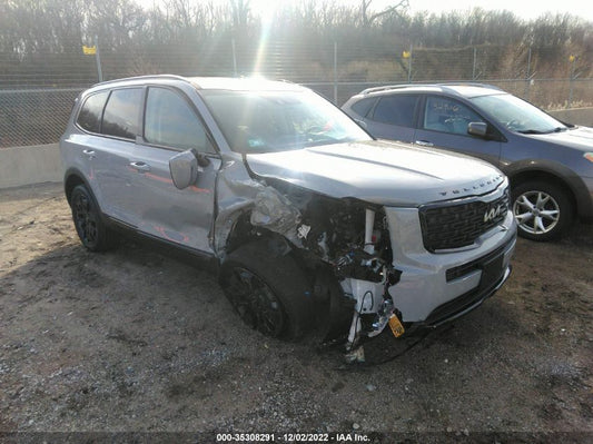 2022 KIA TELLURIDE EX VIN: 5XYP3DHC0NG279706