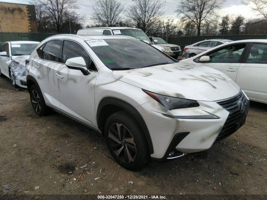 2021 LEXUS NX NX 300 VIN: JTJGARDZ9M5030435