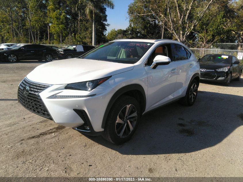 2020 LEXUS NX NX 300 VIN: JTJGARBZ4L5008098