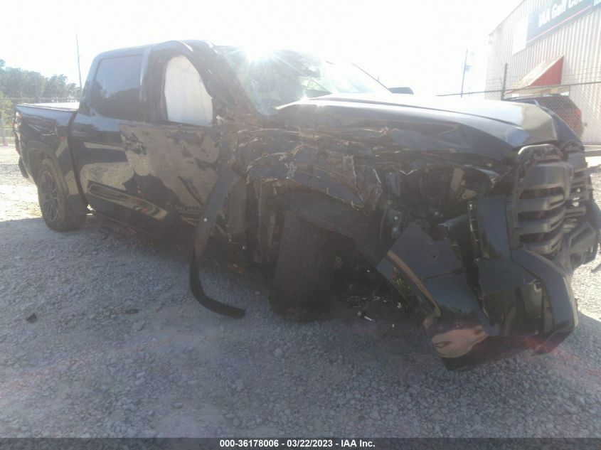 2022 TOYOTA TUNDRA CREWMAX SR/CREWMAX SR5 VIN: 5TFLA5D80NX020346