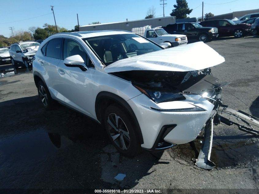 2020 LEXUS NX NX 300 VIN: JTJGARBZ7L5017412