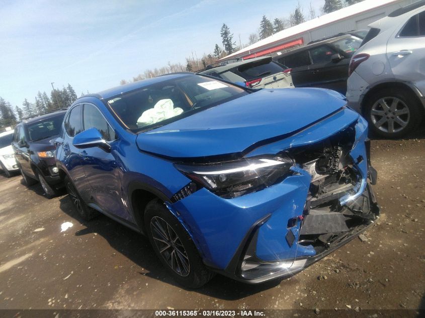 2022 LEXUS NX NX 250 VIN: JTJADCAZ1N2001822