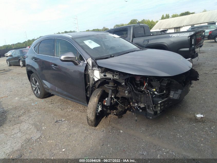 2021 LEXUS NX NX 300H VIN: JTJGJRDZ9M2152780