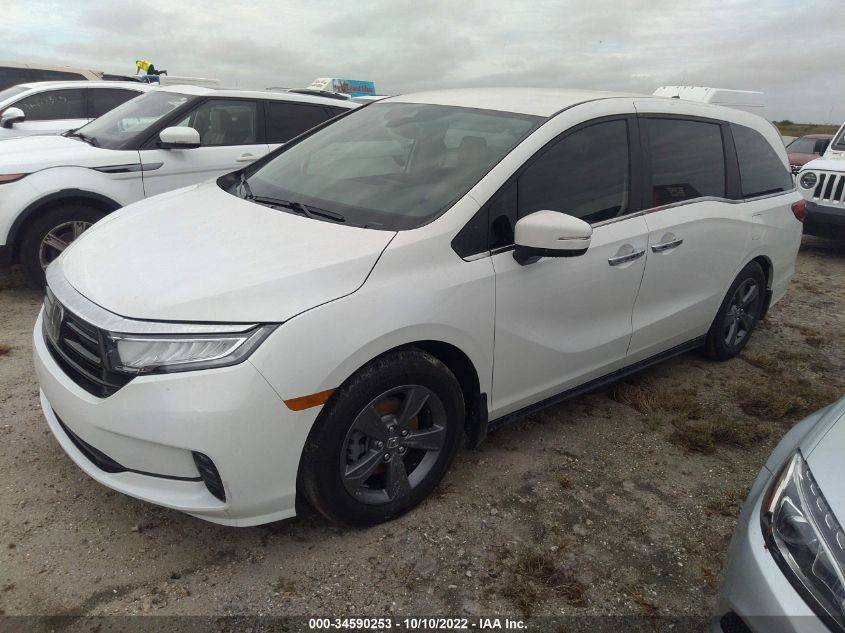 2022 HONDA ODYSSEY EX VIN: 5FNRL6H51NB049251