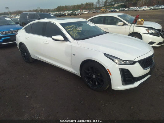 2021 CADILLAC CT5 LUXURY VIN: 1G6DX5RK8M0114559