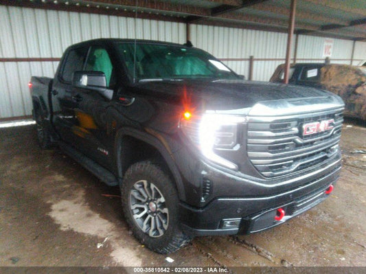 2022 GMC SIERRA 1500 AT4 VIN: 1GTPUEEL9NZ602126