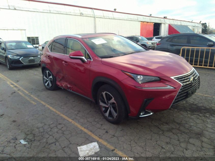 2021 LEXUS NX NX 300 VIN: JTJGARDZ2M2261307
