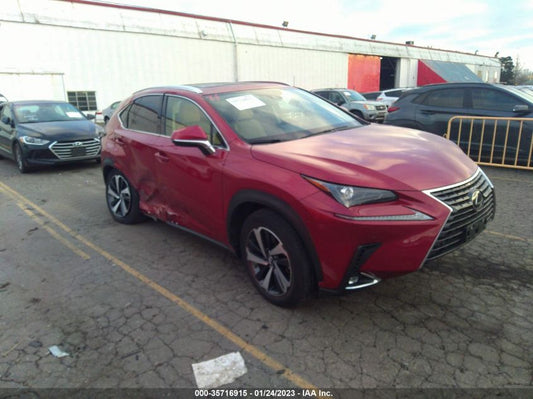 2021 LEXUS NX NX 300 VIN: JTJGARDZ2M2261307
