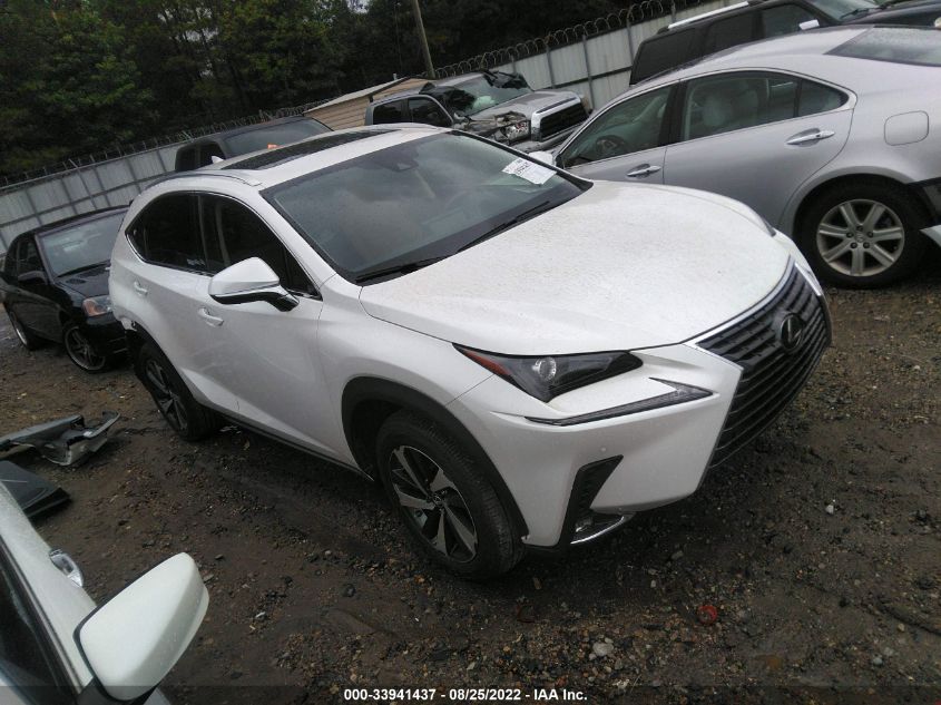 2021 LEXUS NX NX 300 VIN: JTJGARBZXM5034190