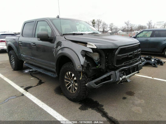 2020 FORD F-150 RAPTOR VIN: 1FTFW1RG4LFA44339