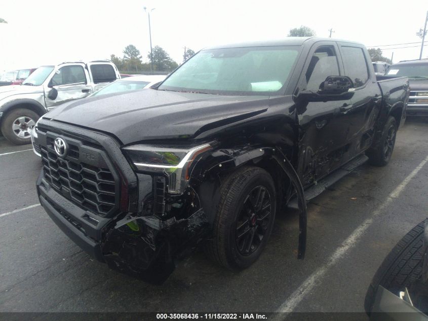 2022 TOYOTA TUNDRA 2WD SR5 VIN: 5TFLA5AB0NX002773
