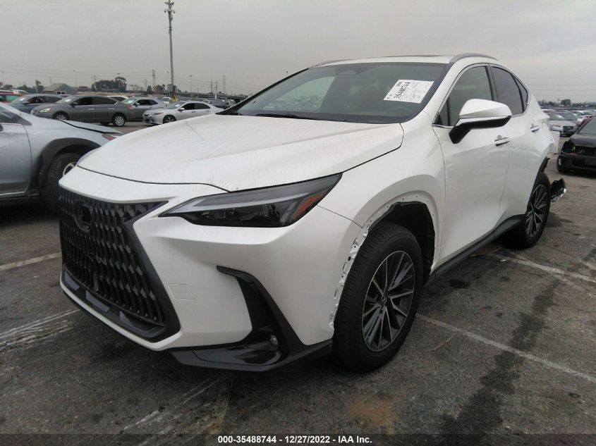 2022 LEXUS NX NX 350 VIN: JTJAGCEZ8N2003116