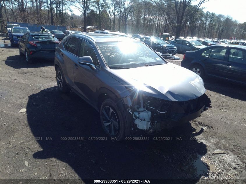 2021 LEXUS NX NX 300 VIN: JTJGARDZ0M2238849