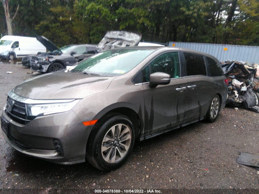 2022 HONDA ODYSSEY EX-L VIN: 5FNRL6H70NB016517