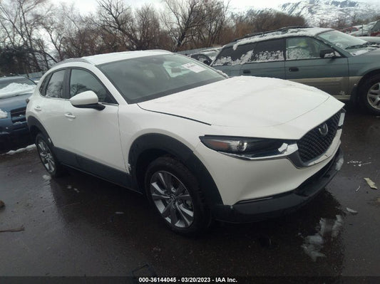 2022 MAZDA CX-30 2.5 S SELECT PACKAGE VIN: 3MVDMBBL6NM417134