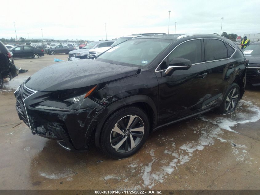 2020 LEXUS NX NX 300 VIN: JTJGARBZ7L5013456