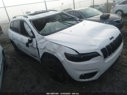 2021 JEEP CHEROKEE ALTITUDE VIN: 1C4PJLLB9MD236137