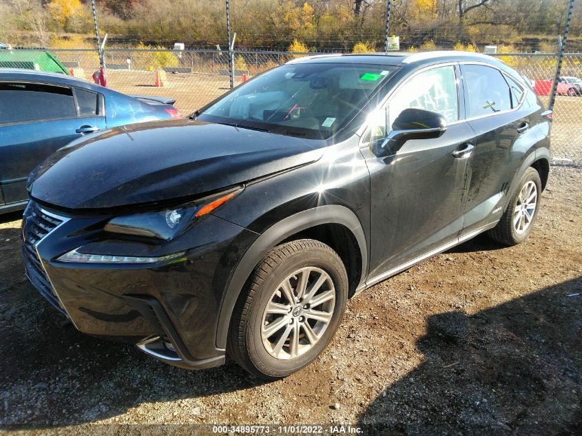 2021 LEXUS NX NX 300H VIN: JTJDJRDZ2M2149254