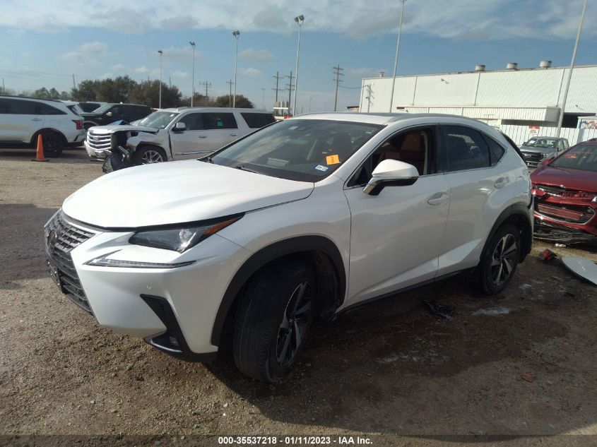 2021 LEXUS NX NX 300 VIN: JTJGARBZ5M5025431