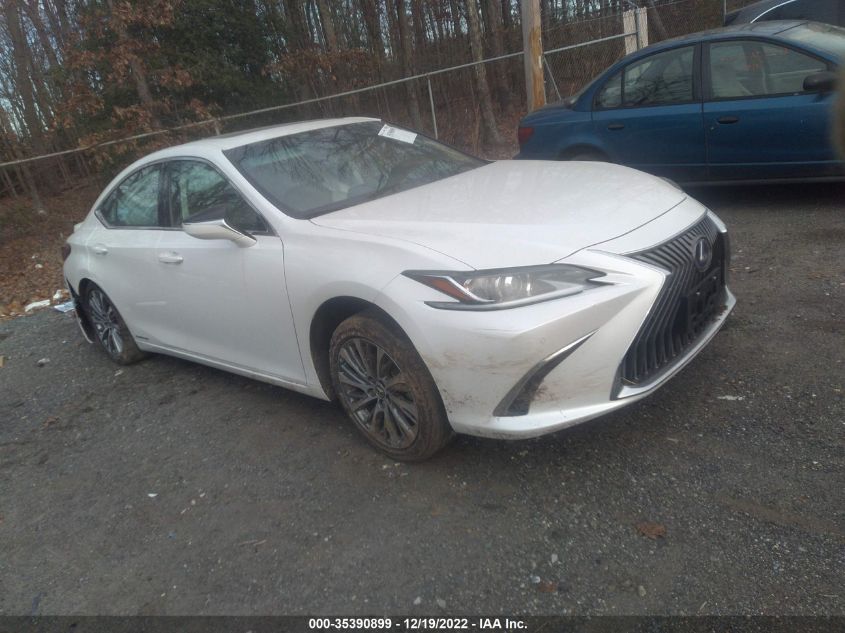 2020 LEXUS ES ES 300H VIN: 58AD21B16LU007690