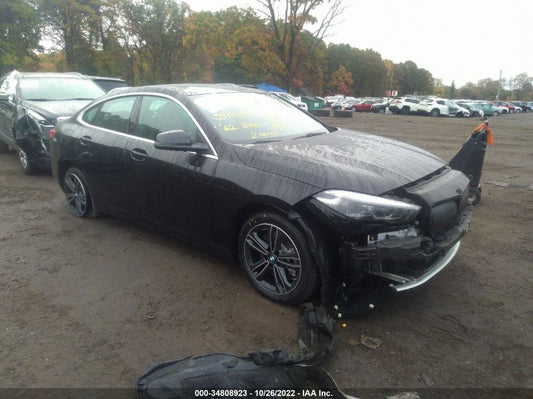 2022 BMW 2 SERIES 228I XDRIVE VIN: WBA73AK0XN7K99677