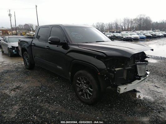 2022 TOYOTA TUNDRA 4WD PLATINUM VIN: 5TFNA5DB2NX006084