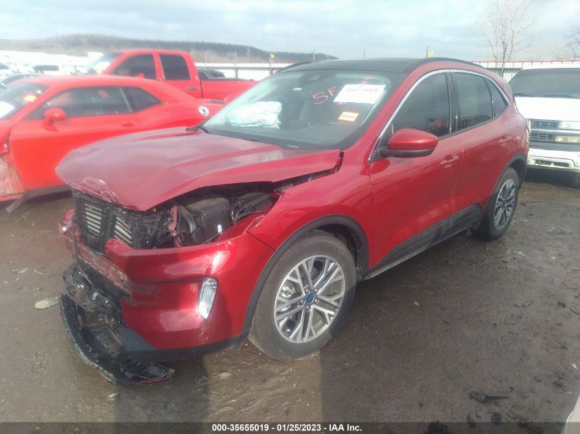 2022 FORD ESCAPE SEL VIN: 1FMCU0H60NUA02143
