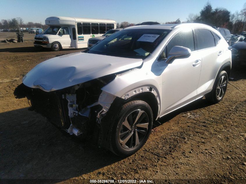 2021 LEXUS NX NX 300 VIN: JTJGARBZ9M5034231