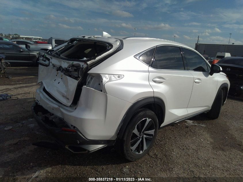 2021 LEXUS NX NX 300 VIN: JTJGARBZ5M5025431