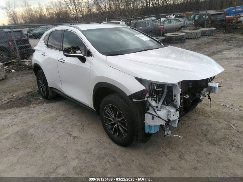 2022 LEXUS NX NX 350 VIN: 2T2AGCEZ3NC009387
