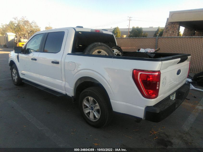 2021 FORD F-150 XL/XLT/LARIAT VIN: 1FTFW1CD5MFD11410