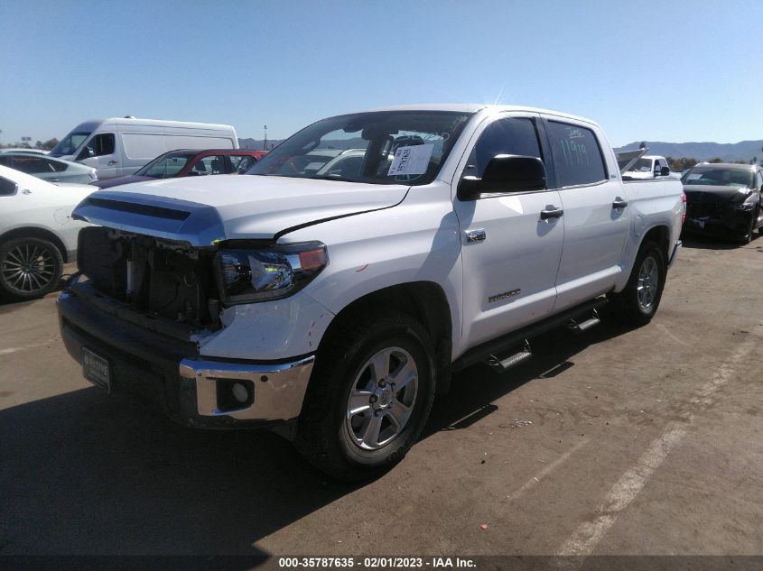 2021 TOYOTA TUNDRA 2WD SR5 VIN: 5TFEY5F18MX281859