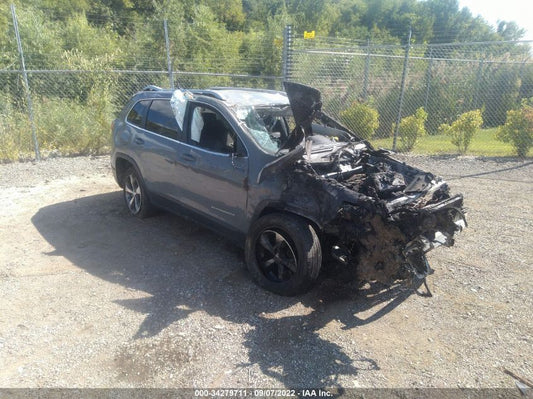2020 JEEP CHEROKEE LIMITED VIN: 1C4PJLDB0LD560798