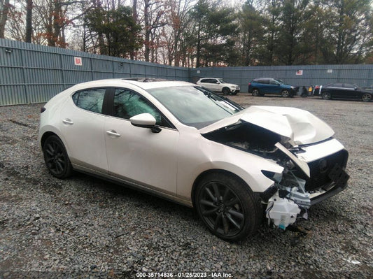 2021 MAZDA MAZDA3 HATCHBACK PREFERRED VIN: JM1BPBLLXM1403649