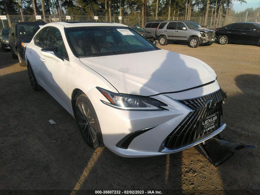2022 LEXUS ES ES 250 VIN: 58AD11D12NU010170