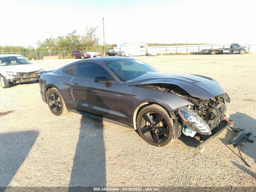 2021 FORD MUSTANG ECOBOOST VIN: 1FA6P8TH3M5109024