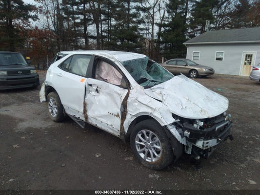 2021 CHEVROLET EQUINOX LS VIN: 3GNAXSEV1MS117981