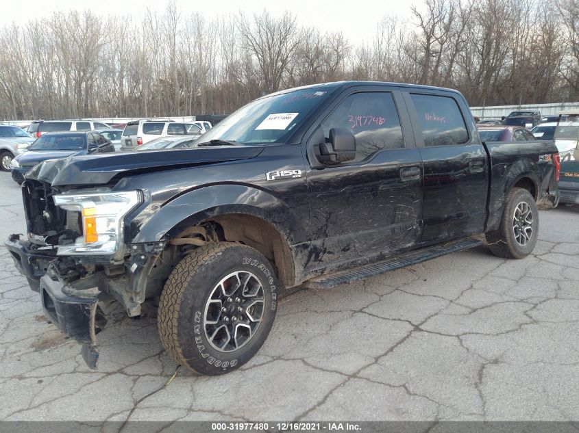 2020 FORD F-150 XLT VIN: 1FTEW1EP7LFA61959
