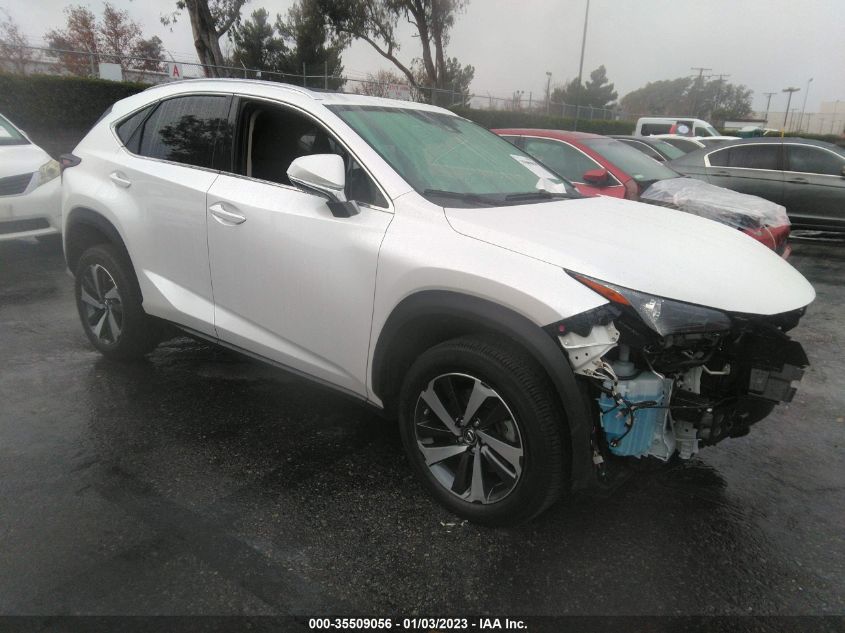 2021 LEXUS NX NX 300 VIN: JTJGARBZ1M5029198