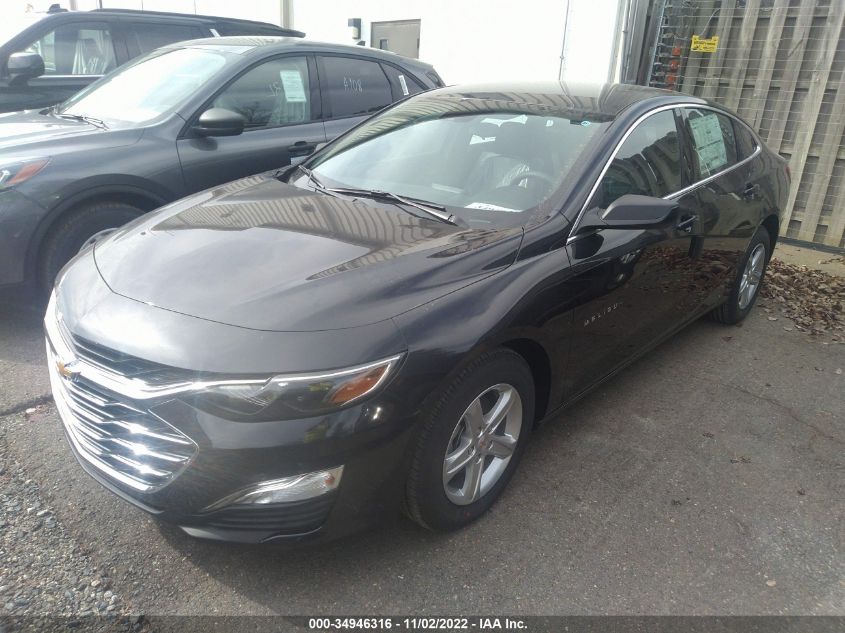 2023 CHEVROLET MALIBU LS VIN: 1G1ZC5STXPF121251