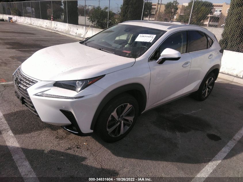 2020 LEXUS NX NX 300 VIN: JTJGARBZ8L5017614