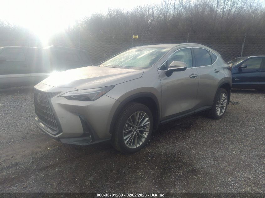 2022 LEXUS NX NX 350 PREMIUM VIN: 2T2GGCEZ1NC004036