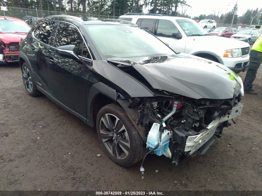2021 LEXUS UX UX 250H VIN: JTHP9JBH6M2038483